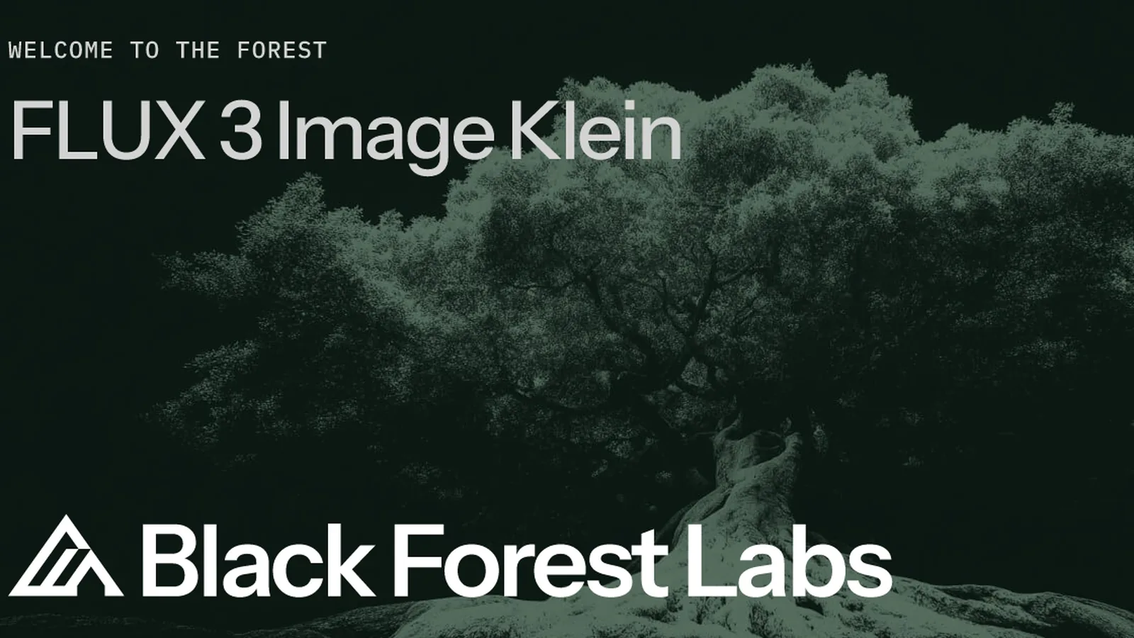 Black Forest Labs 官方 FLUX 3 Image Klein 文章社群預覽圖
